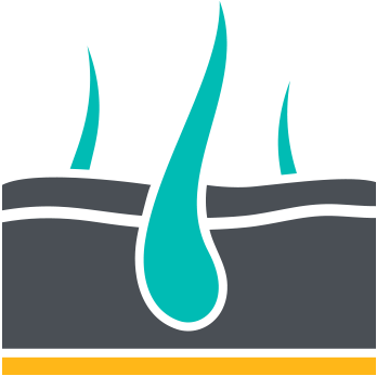 Illustration Of Skin Layers - Dermatology Logo (560x375)