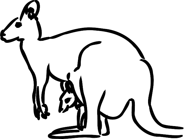 Australia Kangaroo, Baby, Animal, Mammal, Jumping, - Kangaroo Clipart (640x484)