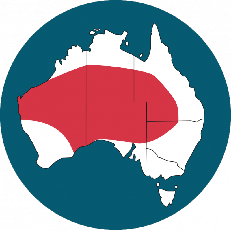 Distribution Map - - Red Kangaroo Habitat Map (800x795)