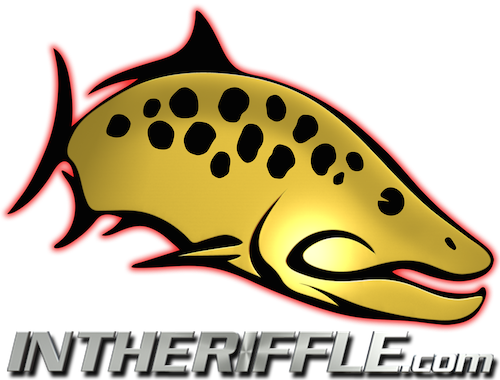 Online Fly Shop - Carp (500x380)