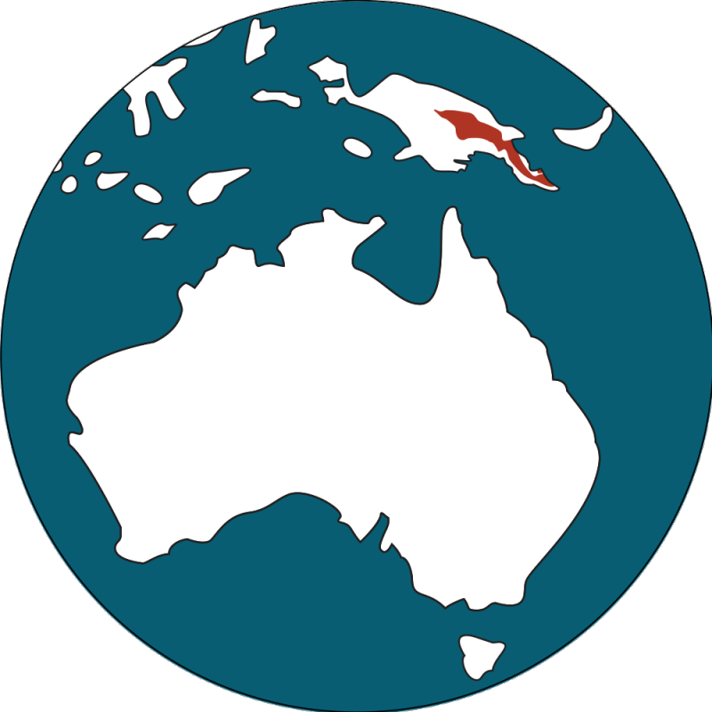 Goodfellow's Tree-kangaroo - Do Tree Kangaroos Live (800x800)