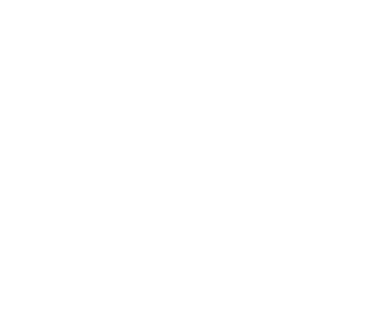 The National Association Of Consumer Agency Administrators - Danger Icon White Png (534x478)