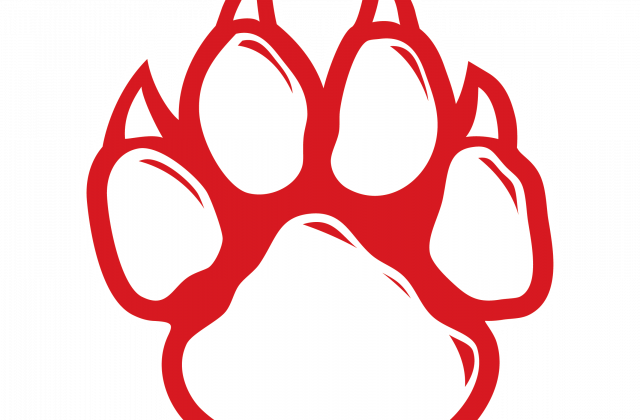 Wildcat Paw Print Free Download Clip Art Free Clip - Wildcat Paw Print Transparent Background (640x420)