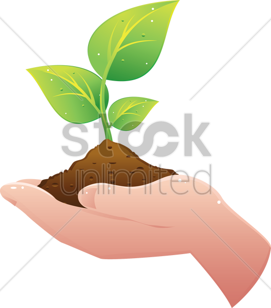 Plant Hand Soil Clip Art - Hand Holding Plant Clipart (529x600)