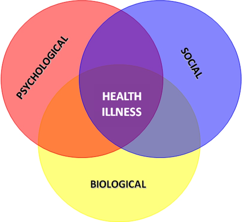 Biopsychsocial-model - Biological Model Of Health (808x743)