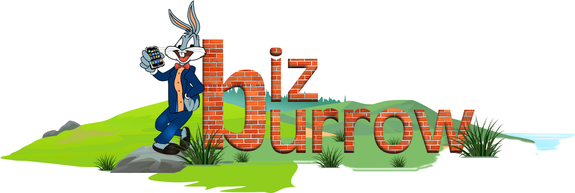Bizburrow - Business (1171x430)