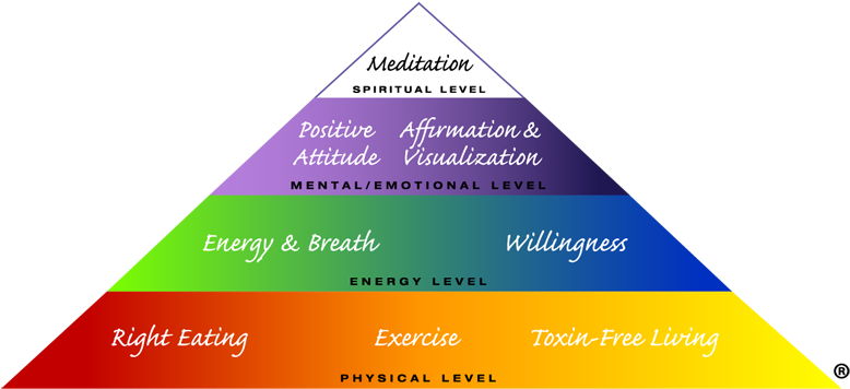 Holistic Health Pyramid - Good And Holistic Health (800x390)