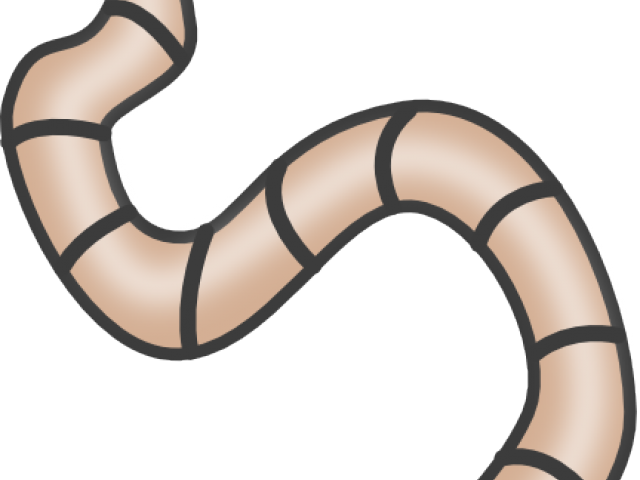 Worms Clipart Soil Clipart - Decomposer Clipart (640x480)