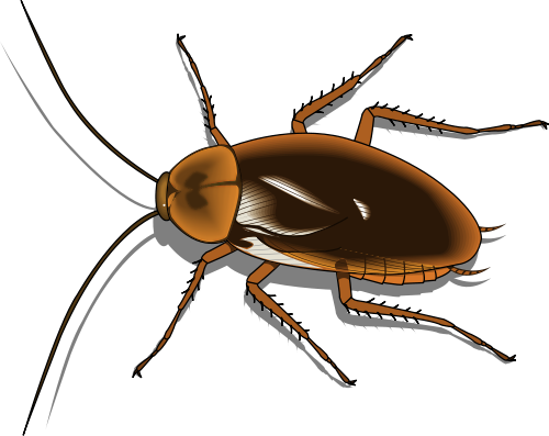 Cockroach Clipart Decomposer - Cafepress Cockroach Everyday Pillow (500x397)