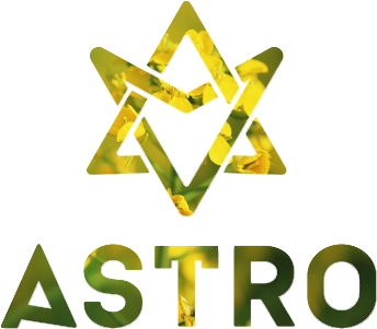 Spring Up Astro Hide & Seek Innocent Love Album - Astro: Spring Up (1st Mini Album) Cd (500x500)