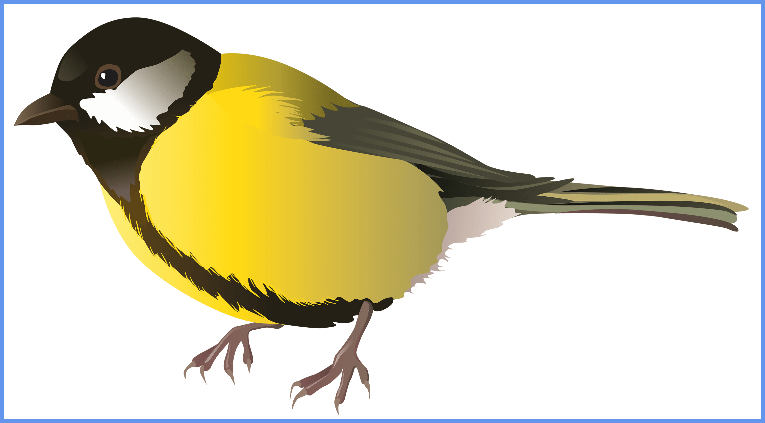 Pigeon Bird Pigeon Bird Png Appealing Yellow Bird Png - Clip Art (3030x1676)