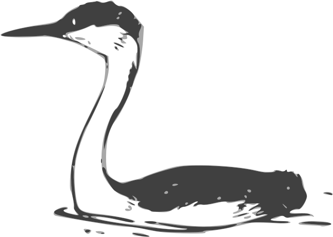 Waterbird Clip Art Download - Custom Goose Shower Curtain (729x800)