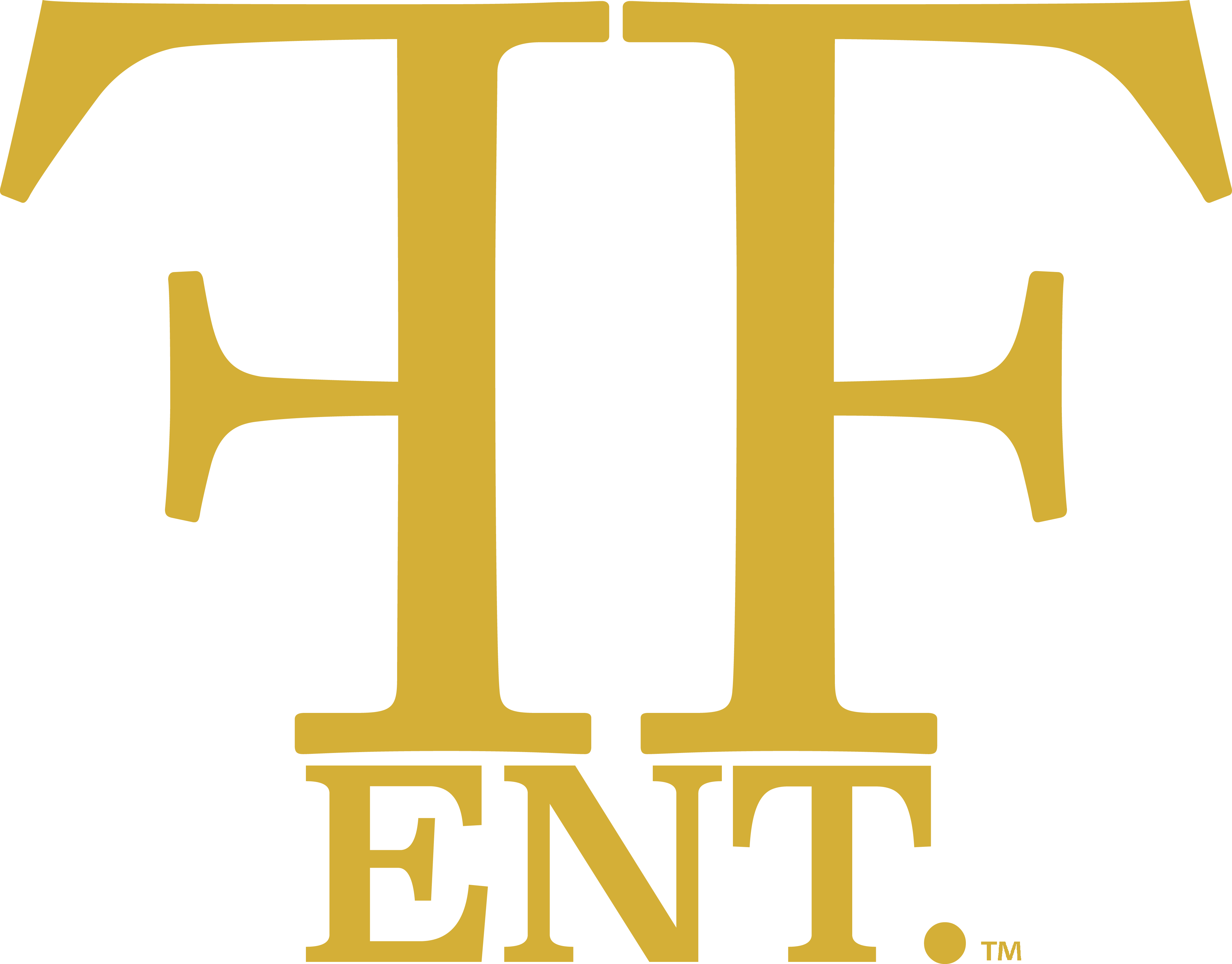 Artist Name Debut Album - Artist Name Debut Album (4120x3225)