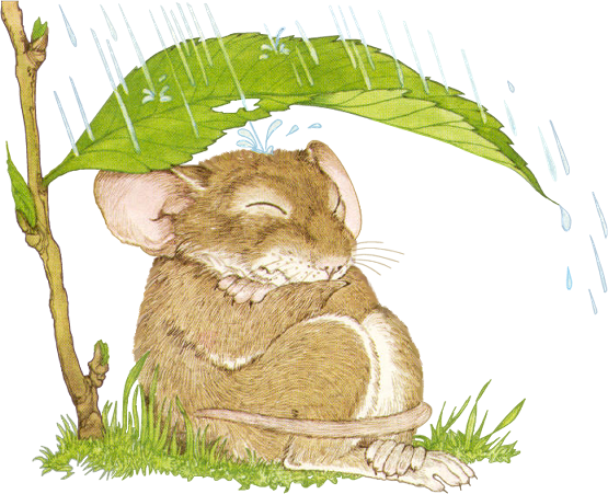 Clip Art - Mouse In Rain (555x451)