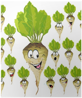 Sugar Beet Cartoon With Many Expressions Poster • Pixers® - Cukrová Repa (400x400)