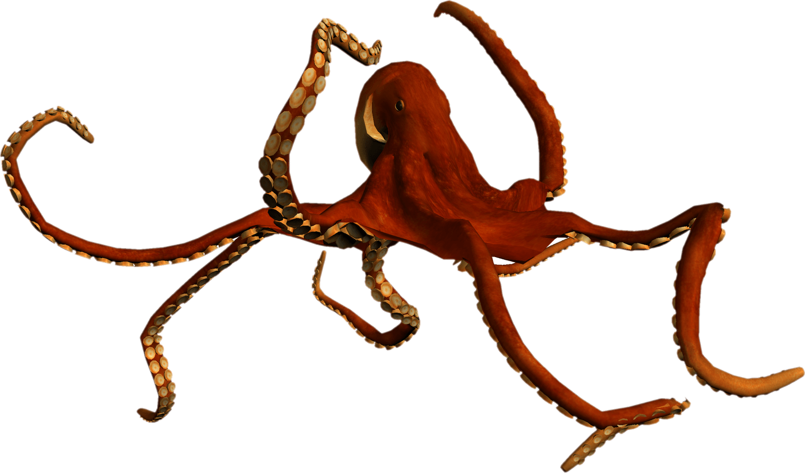 Free High Resolution Graphics And Clip Art - Sea World Png (1600x940)