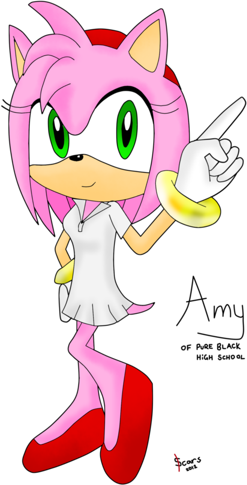 Top Cute Hedgehog Amy Rose Images - Cartoon (772x1034)