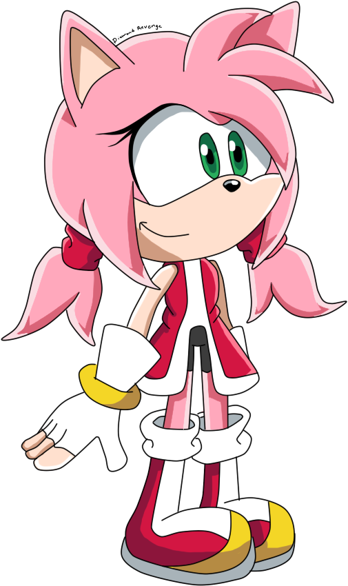 Amy Rose The Hedgehog By Diamondrevenge - Sonic The Hedgehog (720x960)