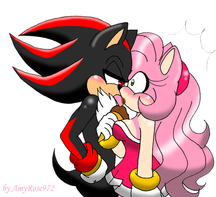 Amy Rose Shadow The Hedgehog Rouge The Bat Sonic Heroes - Amy Rose And Shadow (900x786)