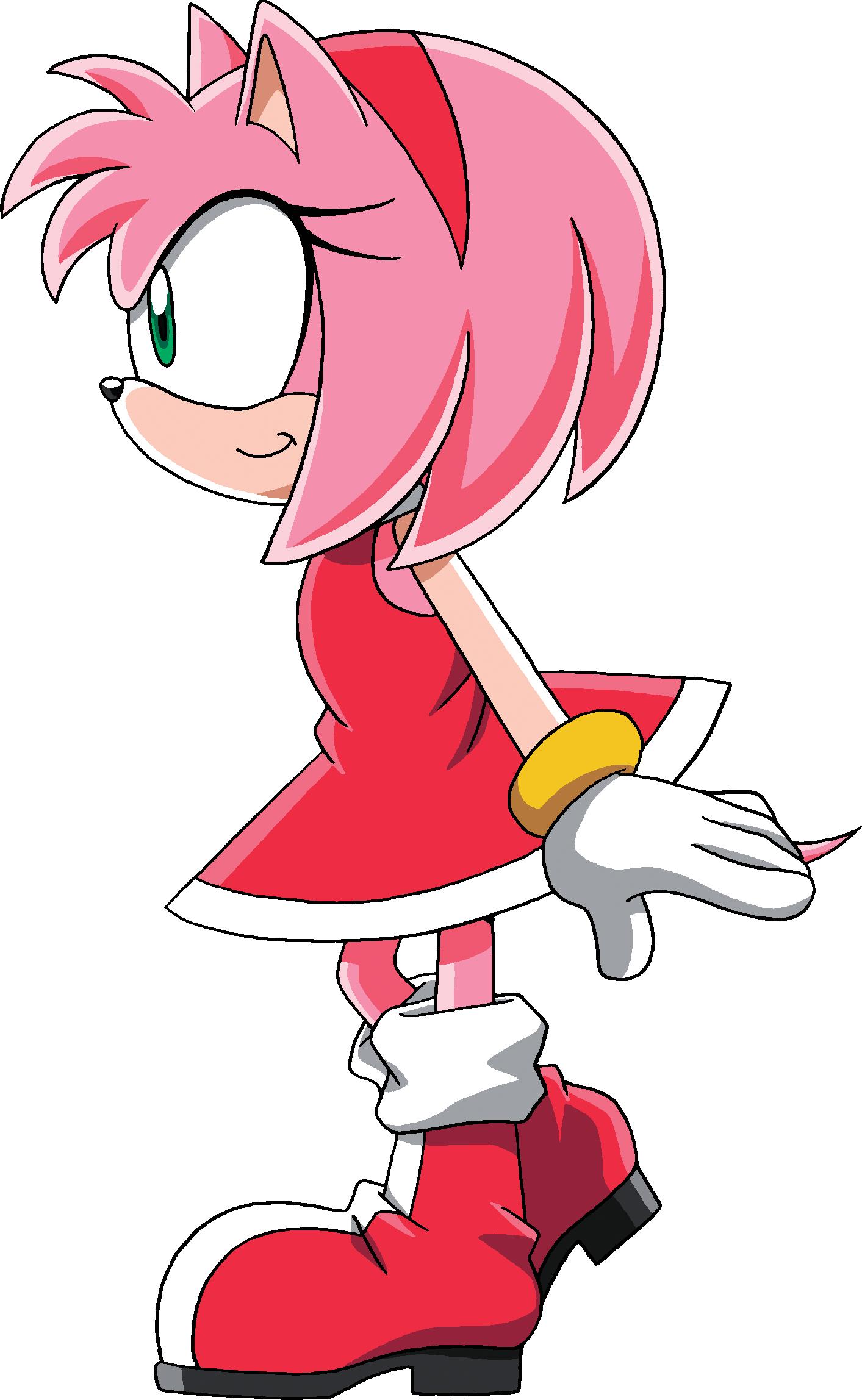 Amy Rose The Hedgehog (1413x2296)