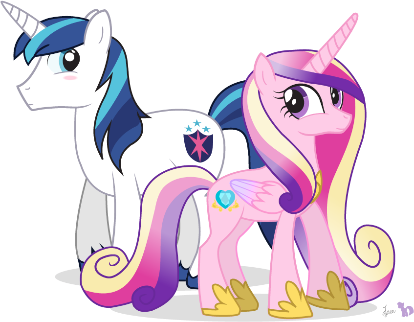 My Little Pony Friendship Is Magic Twilight Sparkle - My Little Pony: Friendship Is Magic (900x722)