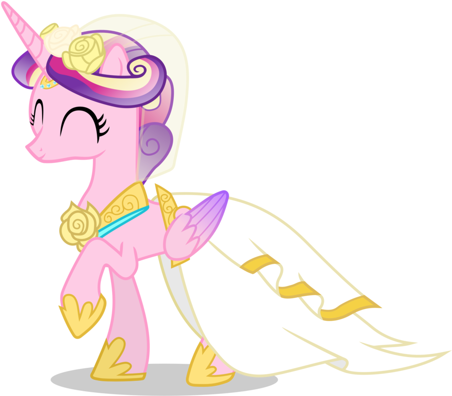 My Little Pony Princess Cadence Wedding Dress - My Little Pony Cadence Wedding (894x894)