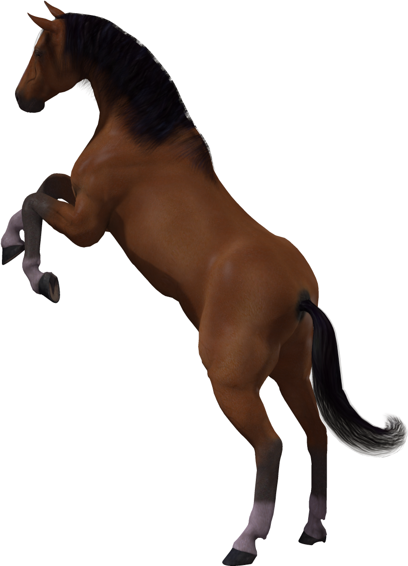 Horse 3d Computer Graphics Mane Clip Art - Horse (1904x1200)