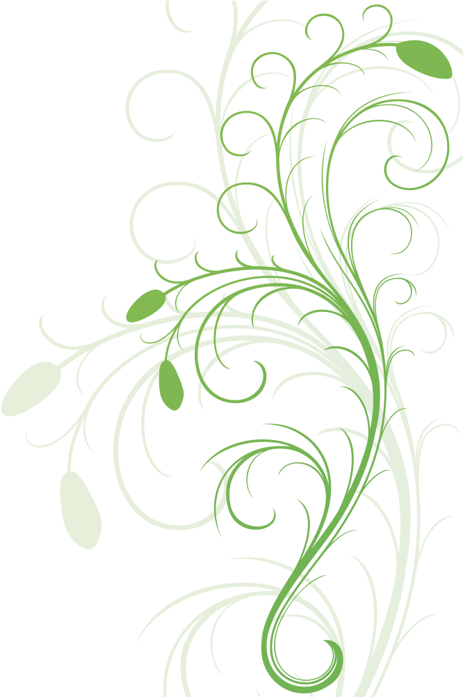 Floral Flourish - Illustration (1002x1000)