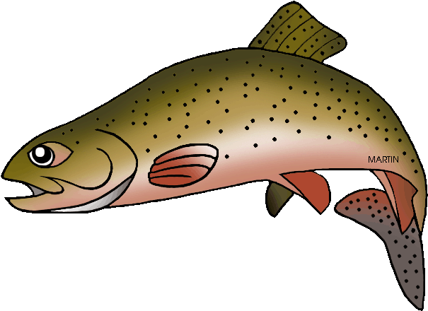 Trout Clipart - Greenback Cutthroat Trout Cartoon (648x471)