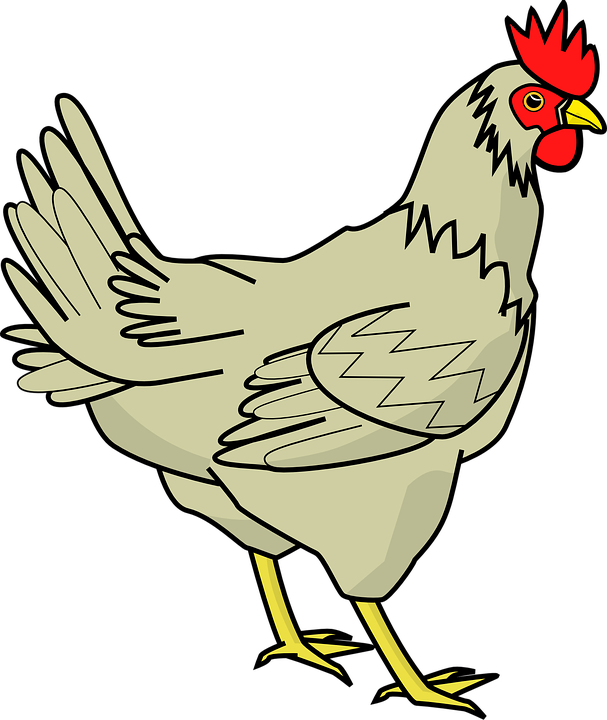 Creepy Space Chicken - Chicken Clipart (607x720)