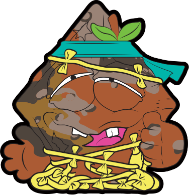 Fried Kite - Sgt Stuffed Bear Grossery Gang (376x389)