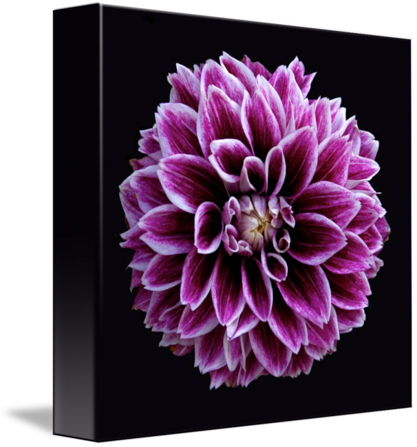 Dahlia Grocery Tote (606x650)