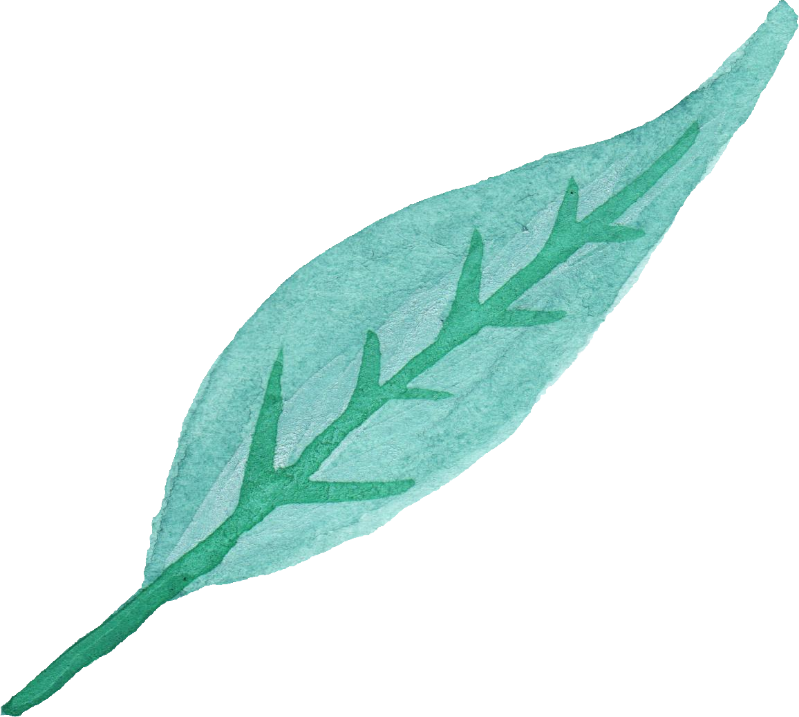 Free Download - Watercolor Leaves Leaves Png (1156x1037)