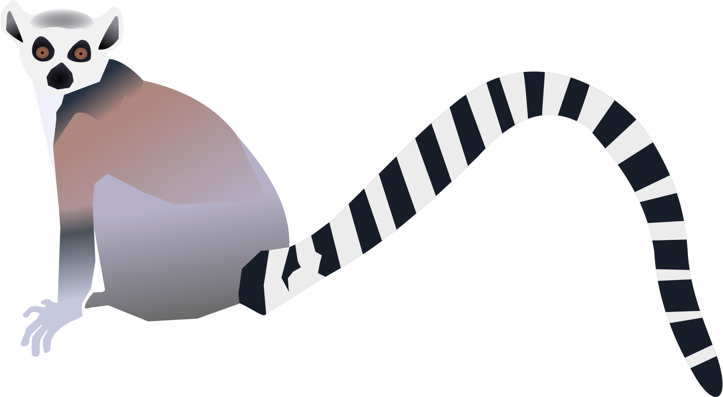 Clipart Info - Animal With A Long Tail (2400x1319)