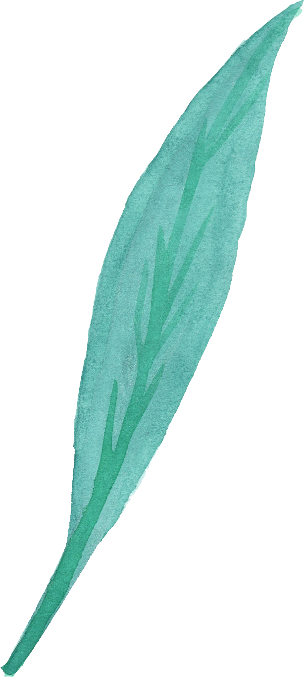 25 Watercolor - Transparency (614x1366)