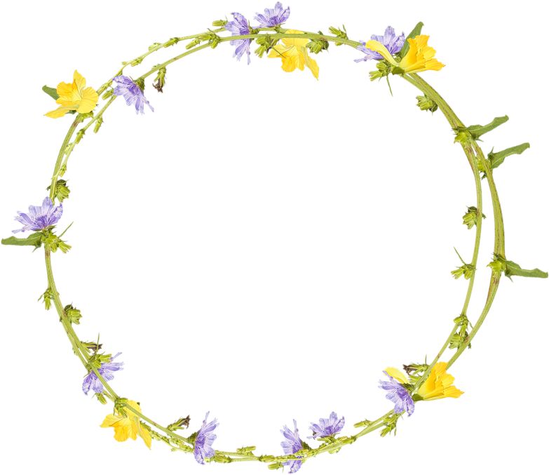 0 9ae96 F62a0378 Orig - Watercolor Painting (800x706)