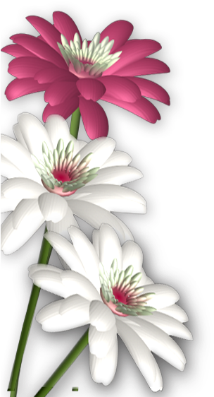 Photoshop Clipart Round Flower Design - Background Flowers For Photoshop (720x576)