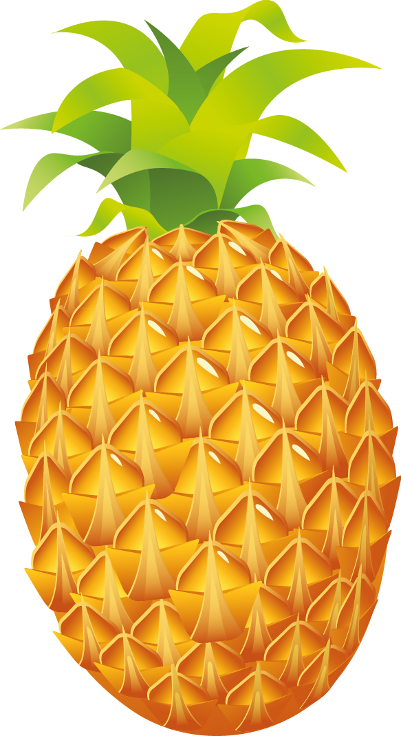 Juice Clipart Pine Apple - Pineapple Fruit Clipart Png (583x1069)