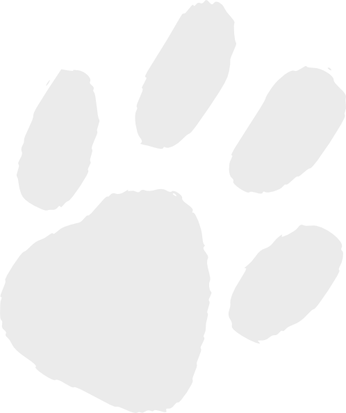 Almost Transparent Paw Print Clip Art At Clker - Paw Print Clipart Transparent (498x594)