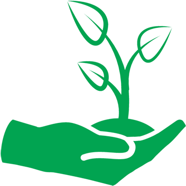 Organic And Natural Products Are The Healthy And Eco-friendly - Ecology (678x487)