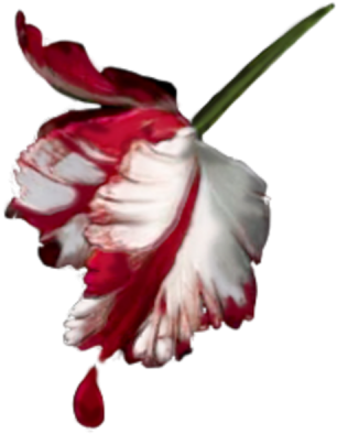 New Moon Free Images At Clker Com Vector Clip Art Online - New Moon Book Cover (400x400)