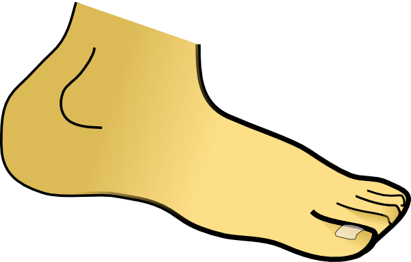 Foot Pictures Clip Art - Clip Art (600x382)