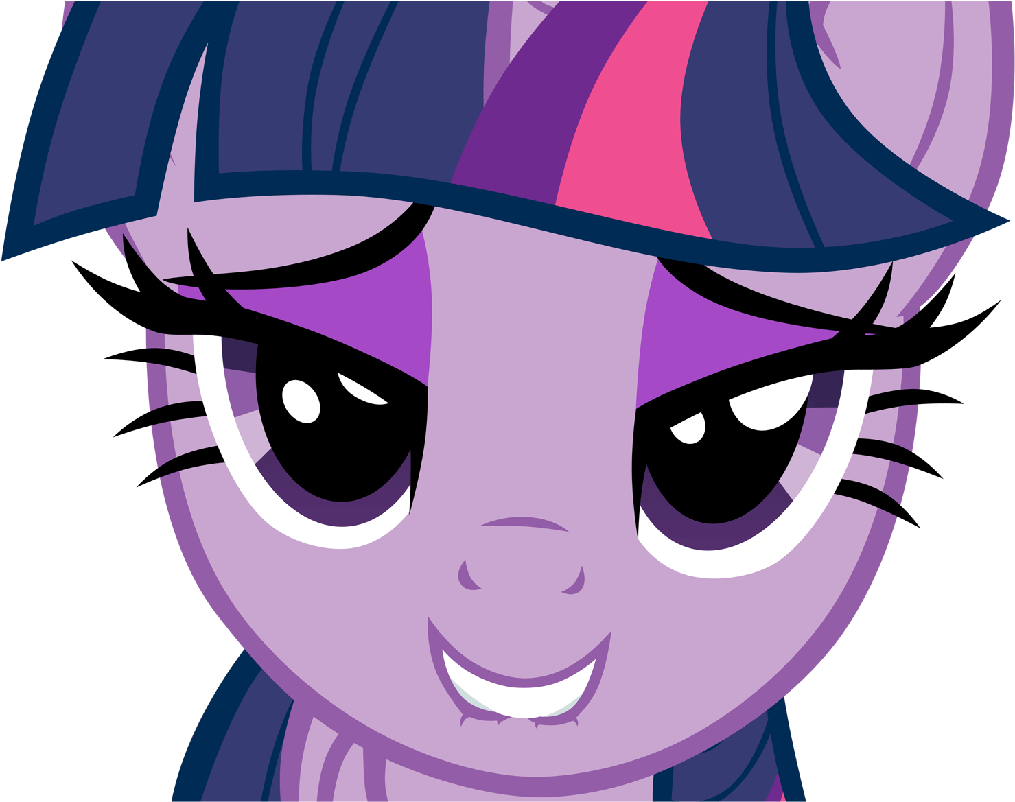 Twilight Sparkle Rainbow Dash Applejack Face Violet - 800 By 200 Pixels Gifs (2000x1250)