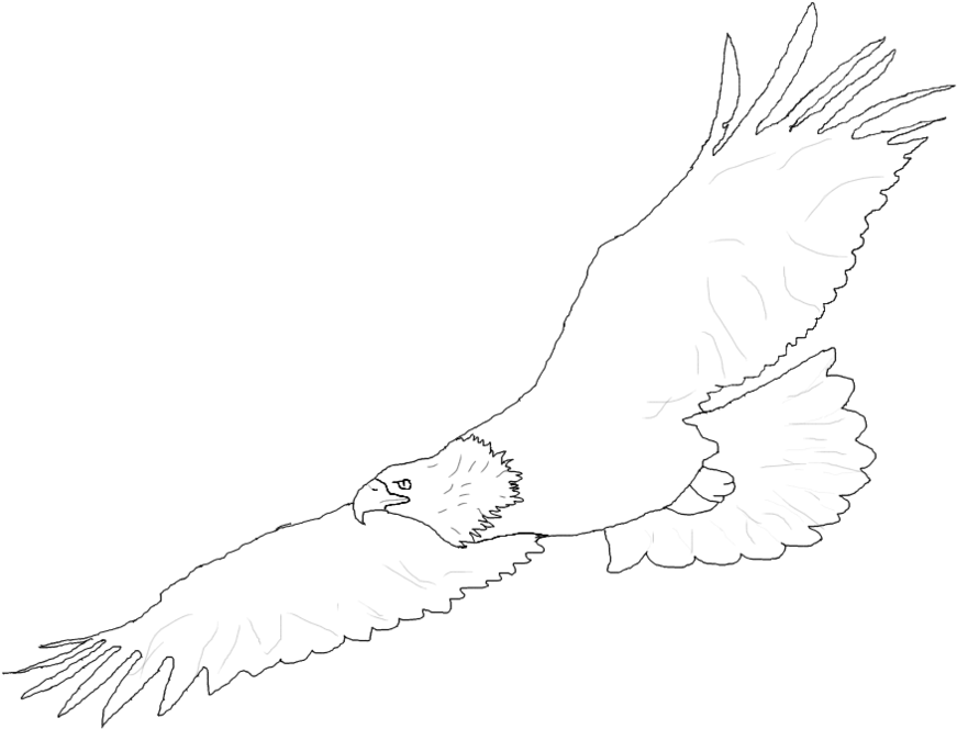 Penguin Outline Clip Art Clipart Panda Images - Sketch (894x894)