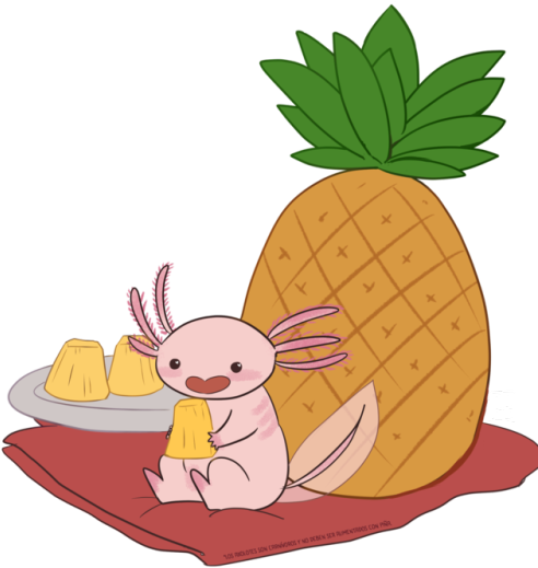 Pineapple Tumblr Png (500x529)