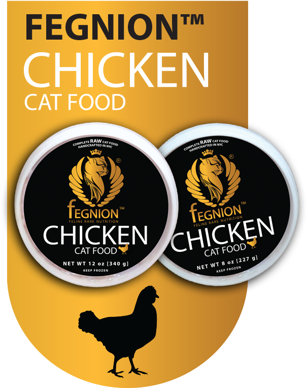 Image - Never Skip Leg Day Banner (680x785)