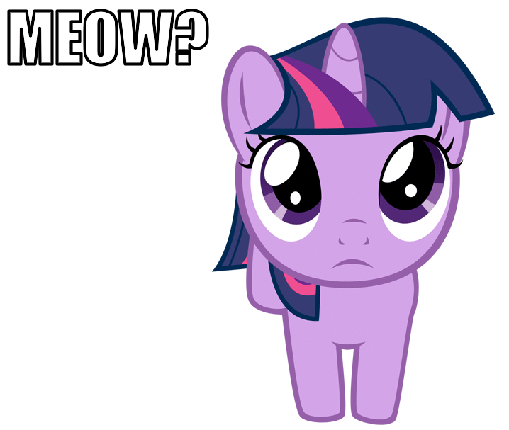 Twilight Sparkle Pinkie Pie Rarity Rainbow Dash Pink - My Little Pony Twilight Gifs (688x588)