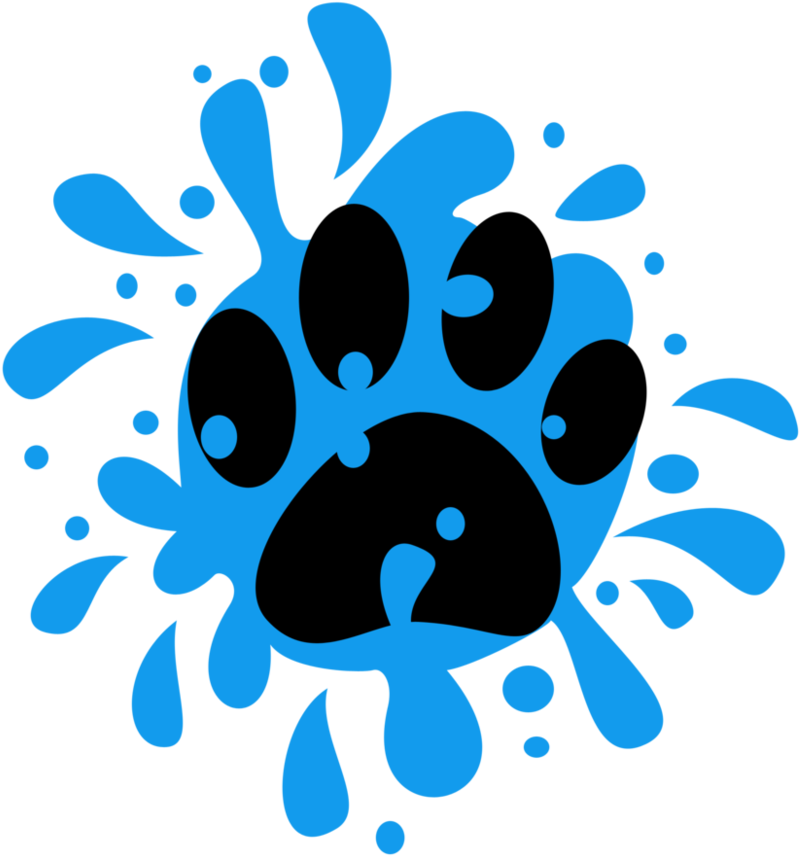 My Little Pony Friendship Is Magic Derpy Cutie Mark - Mlp Cutie Mark Paw (875x913)