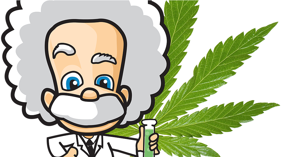 About Us - Cute Einstein Cartoon (940x520)