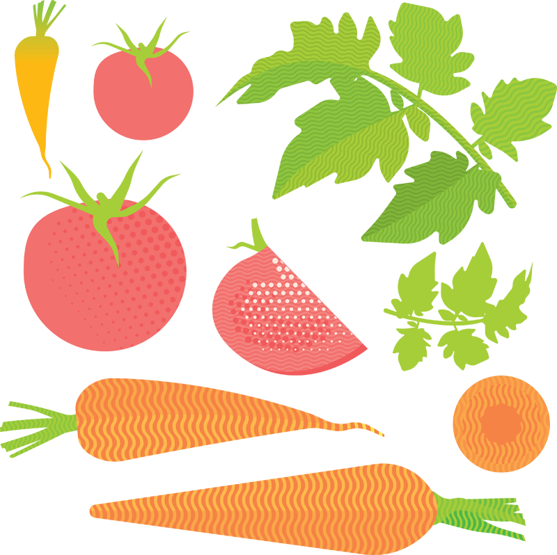 Vector Graphics (800x798)